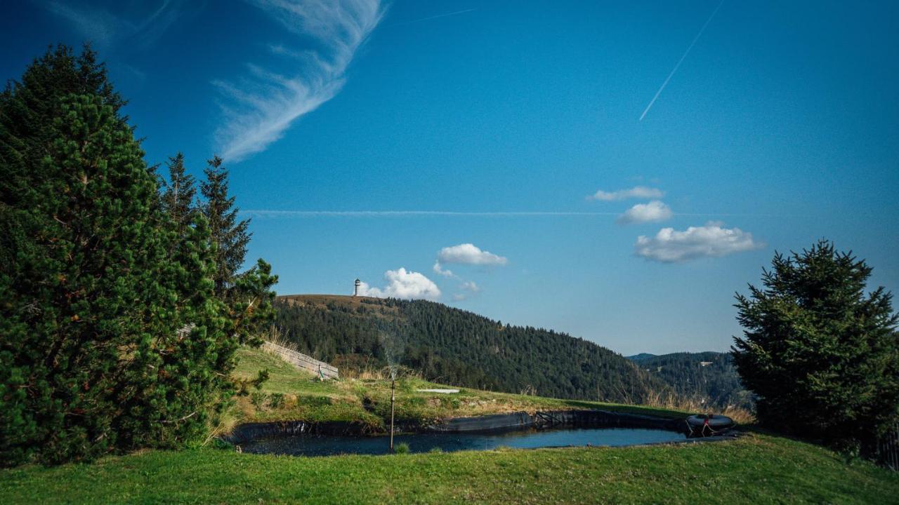 Berggasthof zur Todtnauer Hütte Feldberg  Exterior foto