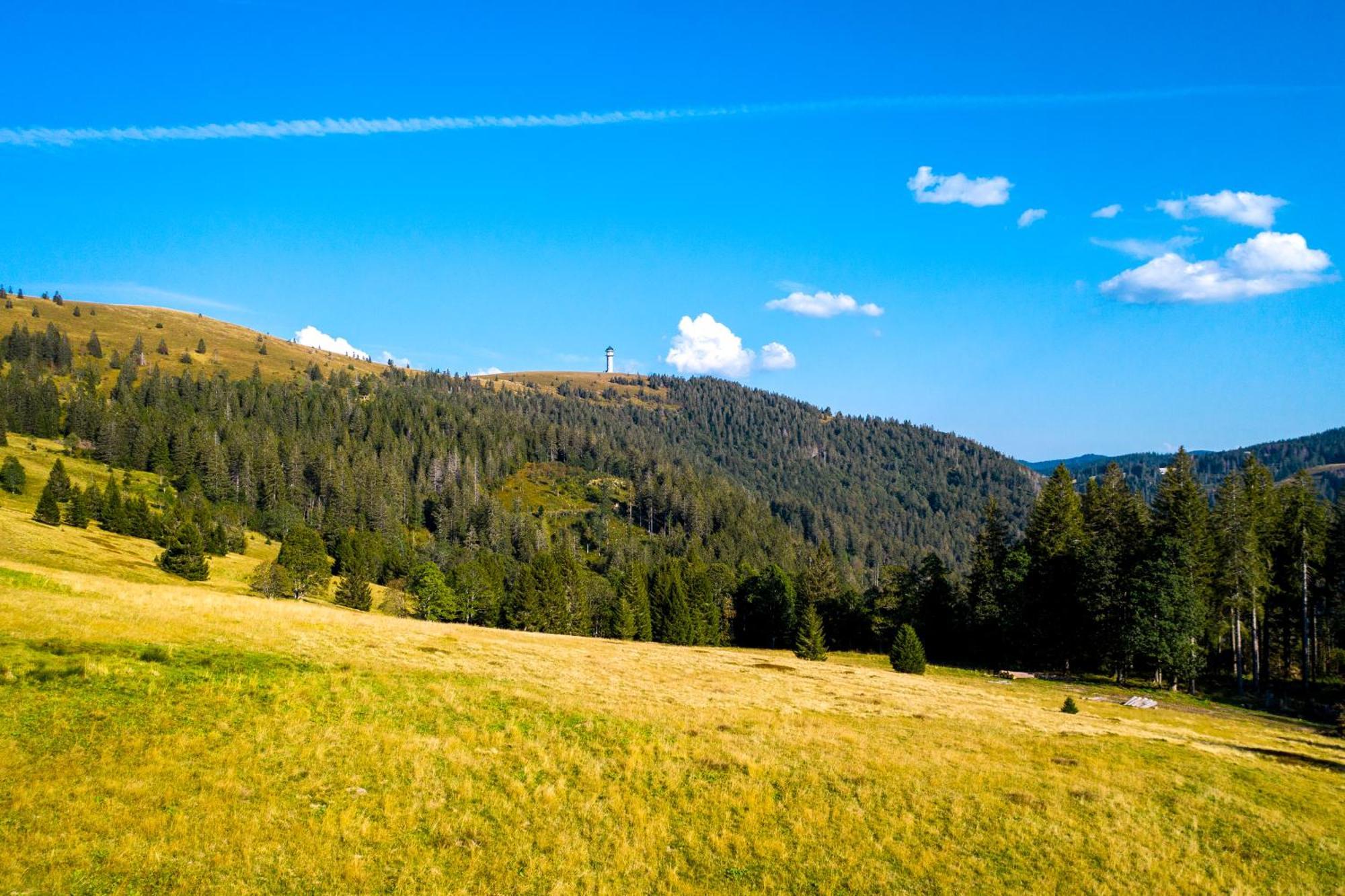 Berggasthof zur Todtnauer Hütte Feldberg  Exterior foto